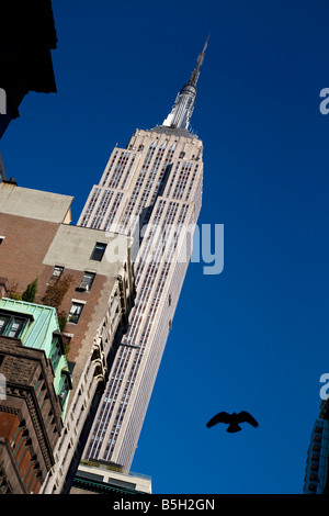 Empire state building,new york,New York,USA,united states. Banque D'Images