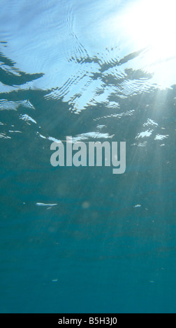 Dans l'eau bleu des fonds marins sablonneux peu profond Banque D'Images