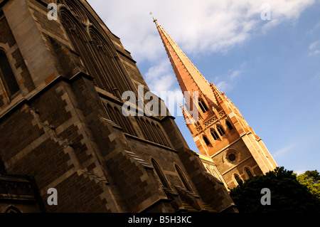 La Cathédrale St paul, Melbourne, Victoria, Australie Banque D'Images