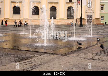 Les pigeons dans une fontaine d'eau, Piata Mare, Grand Carré, Sibiu, Transylvanie, Roumanie Banque D'Images