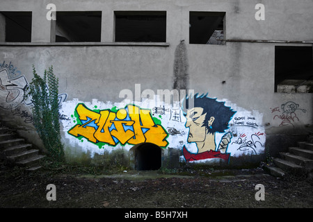 Un morceau de graffitis dans une friche industrielle usine (Allier - France). Le Graffiti dans une usine désaffectée de Cusset (France). Banque D'Images