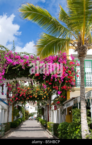 Gran Canaria fleurs Port Mogan passage piéton tranquille avec des arches de Bougainvillea à Puerto de Mogan Gran Canaria Îles Canaries Espagne Banque D'Images