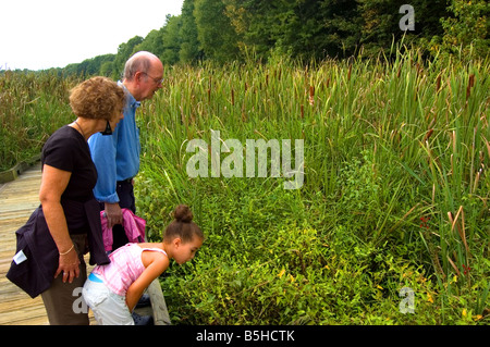 Observe la faune à la famille Huntley Meadows Park dans le comté de Fairfax en Virginie USA Banque D'Images