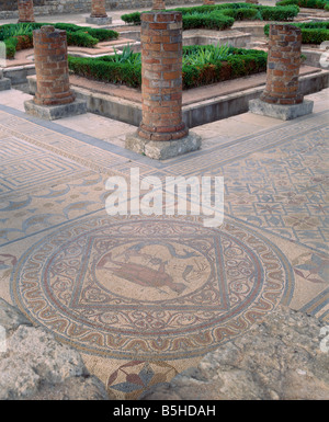 Sol de mosaïque dans les vestiges de la ville romaine de Conimbriga, près de Coimbra, Beira Litoral, Portugal. Banque D'Images