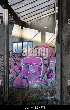 Un morceau de graffitis dans une friche industrielle usine (Allier - France). Le Graffiti dans une usine désaffectée de Cusset (France). Banque D'Images