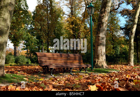 Banc de parc et d'un lampadaire à l'automne Parc du Cinquantenaire Banque D'Images