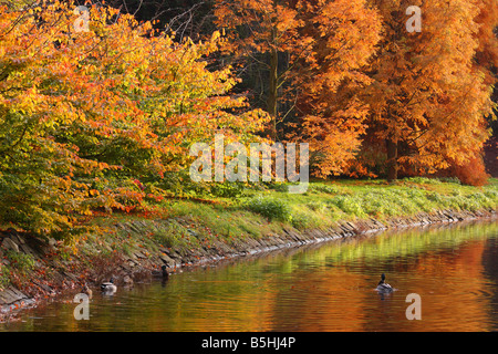 L'eau calme et couleurs d'automne couleurs Banque D'Images