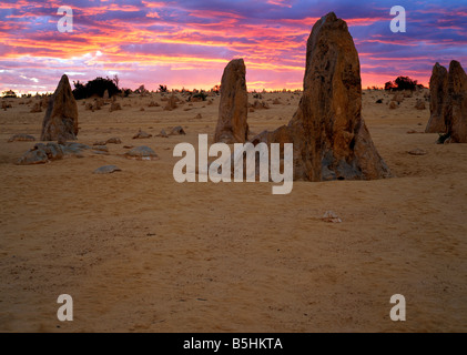 Formations de grès Pinnacle au coucher du soleil, le Parc National de Nambung, Australie occidentale, Australie, Océanie Banque D'Images