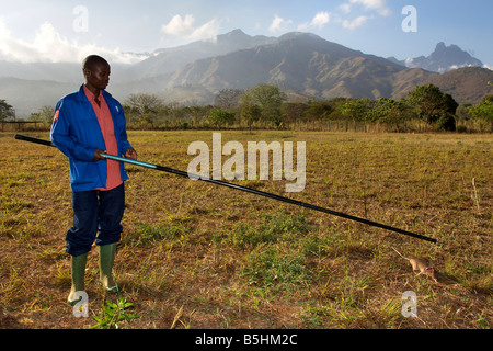 'Hero' intégré la formation sur le terrain à la base APOPO en Tanzanie. Banque D'Images