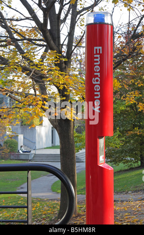 Lumière d'urgence et bouton d'appel sur le campus de l'université Banque D'Images