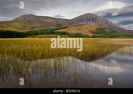 Les herbes reflète dans l'eau dans une petite lochan sur la route de Broadford à Loch Slapin Banque D'Images