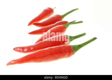 Red Hot chillies sur fond blanc Banque D'Images