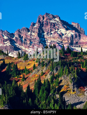 Tahoma peu à l'automne après un début de la neige. Parc national de Mount Rainier, Washington Banque D'Images