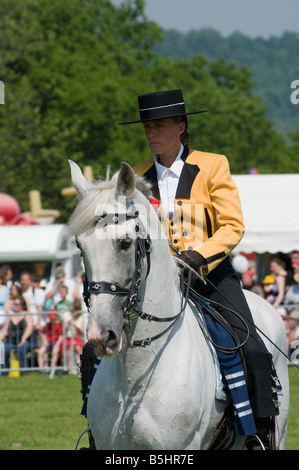 Étalon andalou avec une femme en costume traditionnel espagnol Rider personne un cheval blanc Banque D'Images