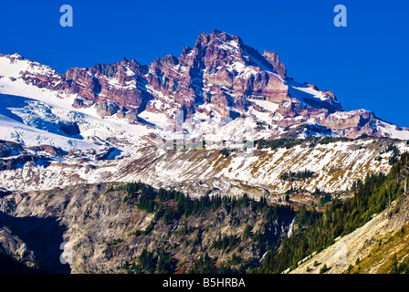 Tahoma peu à l'automne après un début de la neige. Parc national de Mount Rainier, Washington Banque D'Images