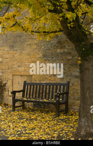 Un banc public à Broadway dans les Cotswolds couvert de feuilles d'automne et montrant l'arbre dont les feuilles sont tombées Banque D'Images