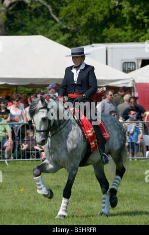 Étalon andalou avec une femelle Rider en costume traditionnel Rallye Cowpie Betchworth Surrey personne montant un cheval gris Banque D'Images