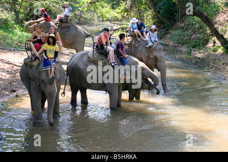 Les touristes en excursion à dos d'éléphant dans le Nord de la Thaïlande Banque D'Images