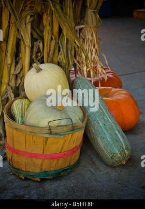 Citrouilles et courges Banque D'Images