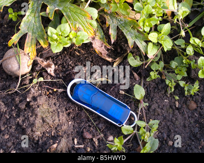 Un ordinateur numérique memory stick perdu dans un lit de fleur Banque D'Images