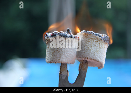 Deux flaming guimauves grillées coincé sur la fin d'une brochette en attente d'être transformées en smores. Banque D'Images