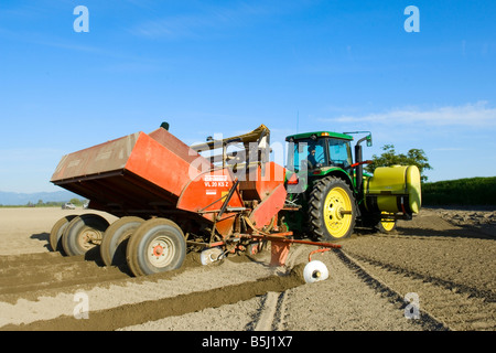 Un tracteur guidé par GPS tirant une rangée de quatre pommes de terre planteuse planter au printemps dans le nord-ouest de Washington Banque D'Images