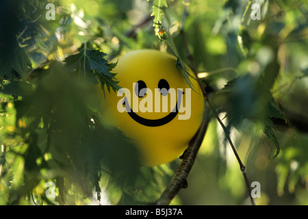 Un smiley balle de caoutchouc dans les feuilles vertes. Banque D'Images