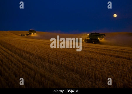 Une paire de récolte de blé combine dans le crépuscule précoce au clair de lune dans la région de Washington Palouse Banque D'Images