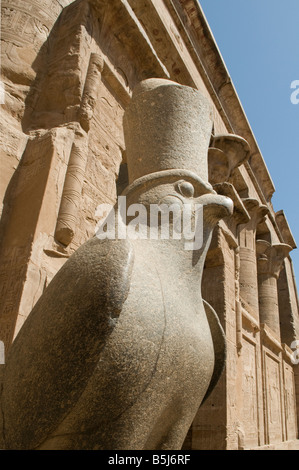 Un pèlerin de la statue en granite de Horus à la salle hypostyle dans temple d'Edfou dédié au dieu faucon Horus, construite pendant la période ptolémaïque -57 237 avant notre ère, l'Égypte Banque D'Images