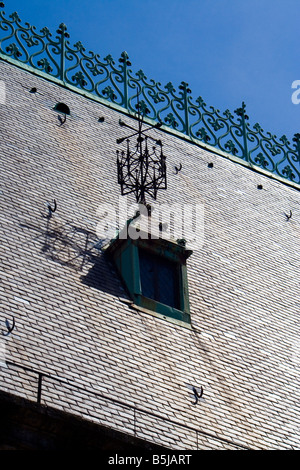 Fenêtre de toit à Nancy Banque D'Images