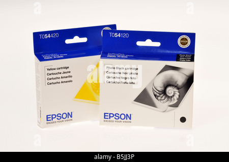 Cartouches d'encre Epson pour imprimante jet d'encre Banque D'Images