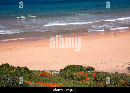 Bungan Beach Sydney, l'une des plages du nord sur la côte est de Sydney, Nouvelle-Galles du Sud, Australie Banque D'Images