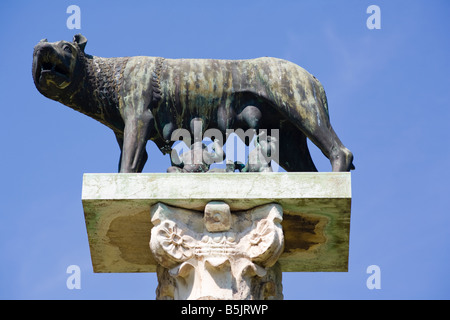 Statue de la louve du Capitole wolf avec Romulus et Remus, la Piazza del Duomo, Pise, Toscane, Italie Banque D'Images
