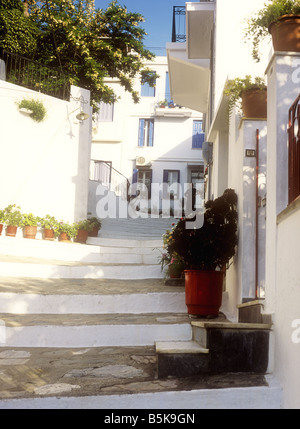Rue typique avec des marches dans la ville de Skopelos sur l'île grecque de Skopelos, Sporades, en Grèce Banque D'Images