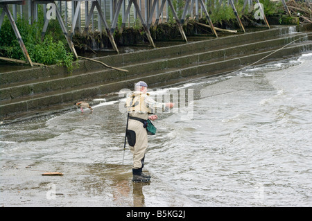 Personnes âgées pêcheur de mouche Pêche Pêche Molesey Weir River Thames Surrey Banque D'Images