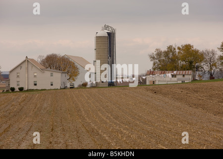 Les champs de maïs ont été coupés pour l'hiver sur une ferme Amish. Un lundi, une blanchisserie est suspendu à l'extérieur sur une ligne sèche. Banque D'Images