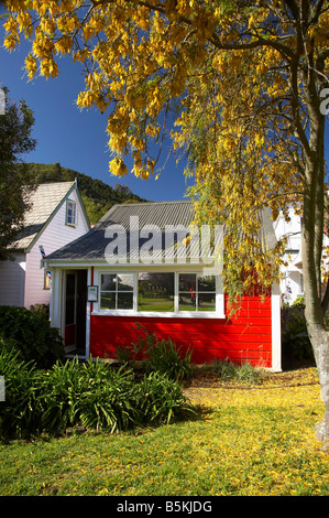 Tobaconist et coiffure et Kowhai Tree in Spring Founders Heritage Park Nelson ile sud Nouvelle Zelande Banque D'Images