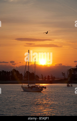 Yacht et Haulashore au coucher du soleil de l'île Nelson ile sud Nouvelle Zelande Banque D'Images