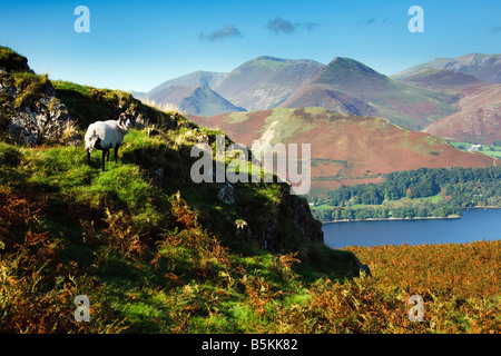 Catbells Derwent Water et à la fin de l'automne de Falcon Crag, 'le Lake District' Cumbria England UK Banque D'Images