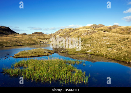 L'arrosage Tarn pittoresque petit lac sous la montagne de Scafell Pike, Wasdale 'le Lake District' Cumbria England UK Banque D'Images