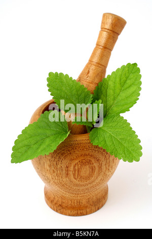 Seringue, des herbes avec mortier et Pastel Photo Stock - Alamy