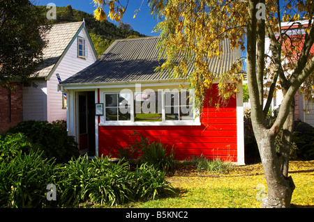 Tobaconist et coiffure et Kowhai Tree in Spring Founders Heritage Park Nelson ile sud Nouvelle Zelande Banque D'Images