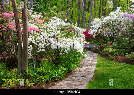 Par l'intermédiaire d'un passage couvert de pierre azalea garden Banque D'Images