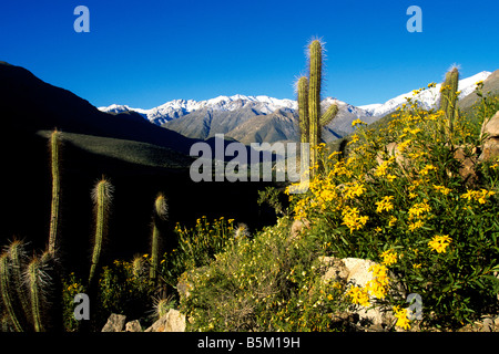 Hacienda Los Andes Rio Hurtado Chili Banque D'Images