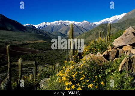 Hacienda Los Andes Rio Hurtado Chili Banque D'Images