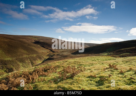 La lande du Lammermuir Hills dans la région des Scottish Borders Banque D'Images