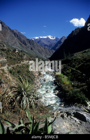 Vue vers le bas de la vallée de l'Urubamba près de 82 km de broméliacées, en premier plan, de l'Inca, Pérou Banque D'Images