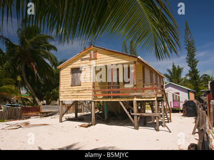 CAYE CAULKER BELIZE maison en bois sur pilotis sur la plage de sable avec des palmiers Banque D'Images