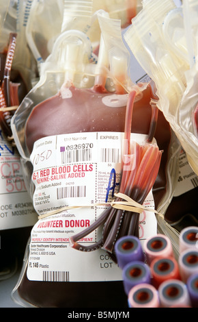 Flacons et poches de sang à Blood Bank, FL, États-Unis, 2003 Banque D'Images