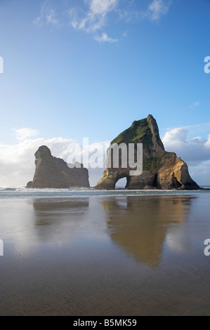 Îles d'Archway reflétée dans les sables humides de Wharariki Beach, près de North West Cape Farewell Nelson Region ile sud Nouvelle Zelande Banque D'Images